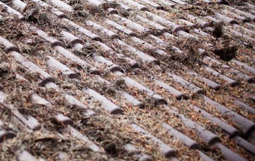 Gladsmuir roof cleaning companies